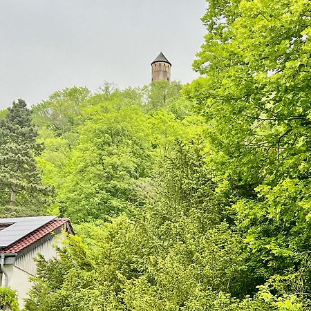 Villa Plesse Bovenden エクステリア 写真